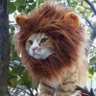 だー's profile picture