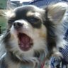 YURI's profile picture