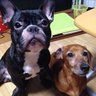 しょうへい 的头像