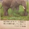 ぞう's profile picture