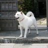 はじめ 的头像