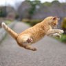 uchi(祝\(^-^)/PPMMPPP)'s profile picture