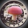 ポンコツ神 的头像