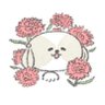 Фото профиля うみ🐯✨