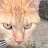 やはちゃん's profile picture