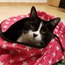 noriko profil fotoğrafı