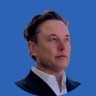 Musk School's profile picture