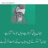 Naimat Ullah's profile picture