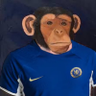 Wellard's profile picture