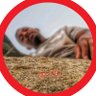 A Calm Zimbo๐ฆ profil fotoฤrafฤฑ