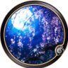 Aoi〈葵〉🎼📢🌸's profile picture