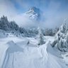 Фото профиля snow white