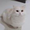 ∋∈ | profil fotoğrafı