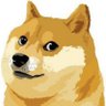 Profilbild von 𝗞𝗶𝗻𝗴𝗹𝗯.𝗱𝗼𝗴𝗲(我是LiBo)