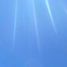 Profilbild von summer Snow