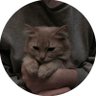9/4 profil fotoğrafı