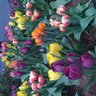 Фото профиля dafne
