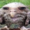 Profilbild von Steven Harper