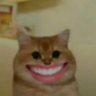 Profilbild von berang berang