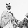 | 🇸🇦❤️'s profile picture