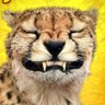 AllSmiles's profile picture