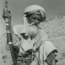 الهمداني's profile picture