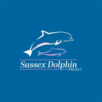 SussexDolphin's profile picture