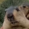 SOUL's profile picture