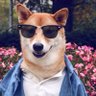 Profilbild von Доктор Рик Пудольски.