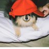 Kpup's profile picture