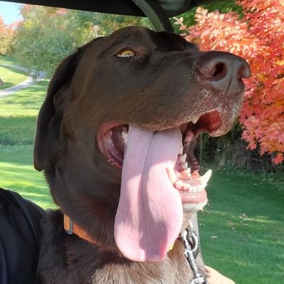 Phil Song's profile picture