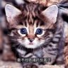 Profilbild von 好色之徒