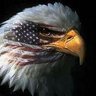 Patrick Donahue's profile picture