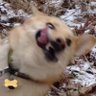 антоха бетон's profile picture