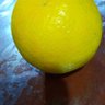 roldisol's profile picture