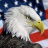 Rocket724's profile picture