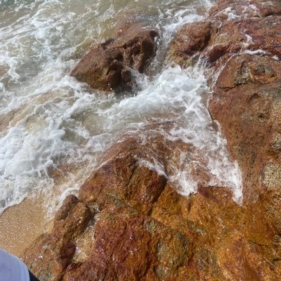 mcsrs6969's profile picture