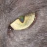 Philippe Rugold's profile picture
