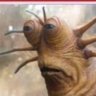Profilbild von Slugg Royce