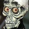 N. U.'s profile picture