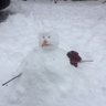 Фото профиля Erdene