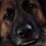 Harry M's profile picture