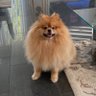 Thiya.Raj profil fotoğrafı