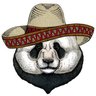 Dat Mexican Panda profil fotoğrafı