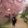 Фото профиля 子どもを盾にした家裁調停反対