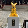 Фото профиля えま