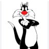 Profilbild von SILVESTRE