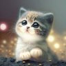 ı̊τ'ϟ ᵁᴾ ᵗᵒ ᴳᵁ.“ꜛ's profile picture