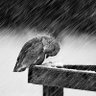 Sensitive & Soft's profile picture