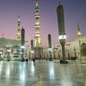 محمد's profile picture